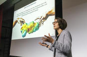 Prof. Dr. Viktoria Däschlein-Gessner erläutert, wie sie Eigenschaften und Reaktivität von Molekülen beeinflussen kann,...